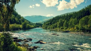 ТЕРРИТОРИЯ БОГА / ЧУДЕСА СВЕРХЪЕСТЕСТВЕННОГО 🙏🔥