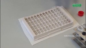 Клещи продолжают атаковать уфимцев и жителей республики