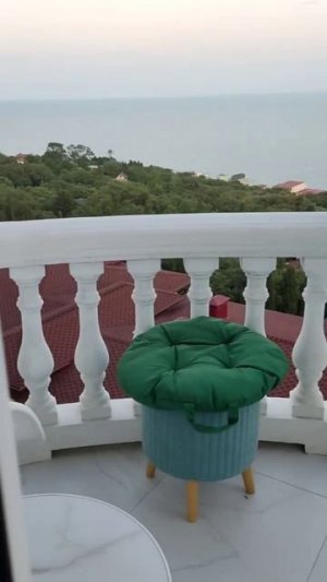 Прилет двух чаек