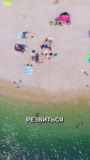 😳 Больше никаких животных на пляжах