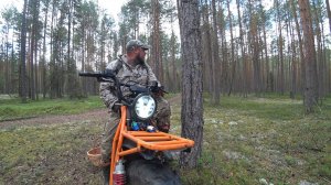СЕЗОН ЧЕРЕЗ МЕСЯЦ, А НА ЖАРЁХУ ЛЕГКО! ПЛОДЫ ТАЙГИ, УЖЕ РАЗНЫЕ ГРИБЫ В ЛЕСУ, МОЛОДОЙ ИЛИ ЗЛОЙ МЕДВЕДЬ