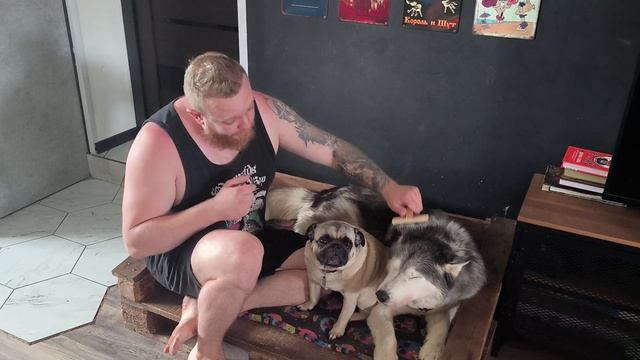 DICKTOR'S FAMILY 1 выпуск