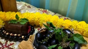 Part 2 Balaram Purnima festival in Mayapur Dham