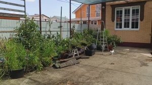 Закончили затеняющий тент, мастера сработали быстро и четко.