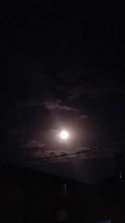 Полнолуние, очень большая, яркая луна, как живая. Она смотрела прямо на нас. Ейск