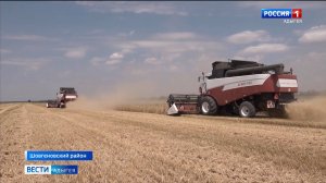 На пшеничных полях Адыгеи - разгар уборочной страды