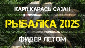 Рыбалка. Фидер. Карп. Карась. Сазан. Разгар сезона. Секретный водоём. 18 августа 2025 г.