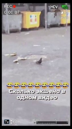 1000055097.mp4