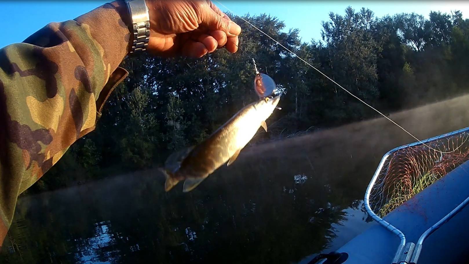 2025-07-16 Старица От тарзанки до дойки