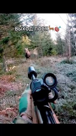 Выход лося на номер 🦌🎯 #охота