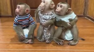 ОБЕЗЬЯНКИ фрукты едят ВСЕХ КТО СМОТРИТ ВЕСЕЛЯТ