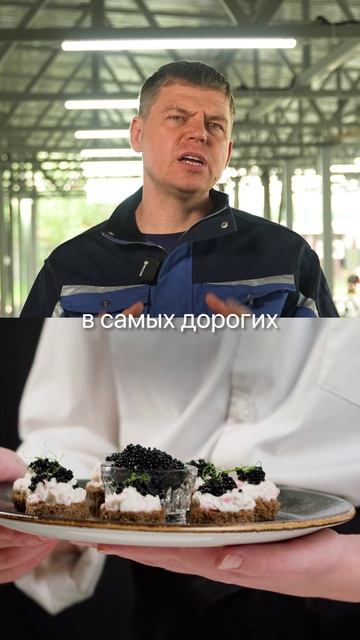 Осётр в гараже? Да, и это прибыльно. Как начать зарабатывать на деликатесе — в ролике. смотреть онлайн