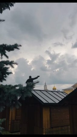Елец перед грозой