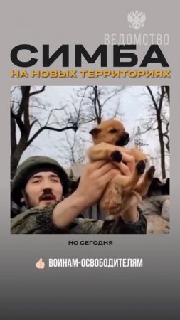 Симба на освобожденной от нацистов территории