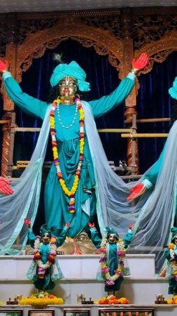 Panchatatva in Night Dress  #mayapur #panchatatva #deities #shorts