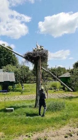 Гостинцы для малышей