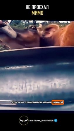 Не проехал мимо и помог #добро