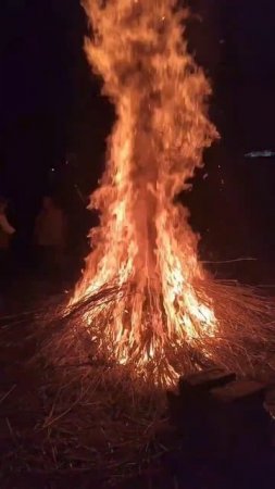 Watch this this this get too big  #mayapur #fire #big #shorts
