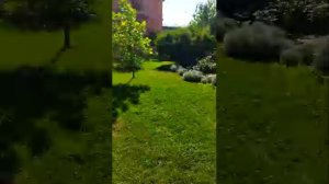 18-07-2025