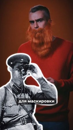 Китайские банды в России