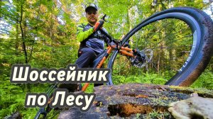 На Шоссейнике по Лесу. Приключения на Гравийнике в Лесу.
