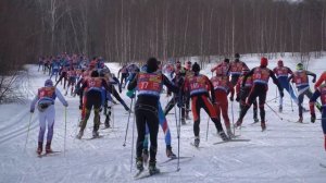 Марафон Битца UHD