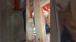 1000029390.mp4 (Собака наблюдает за рланированием крепления имитации бруса, каркаса в доме А-фрейм)