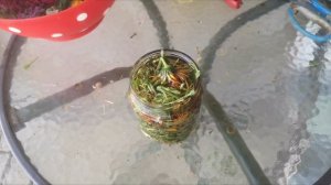 Мацерат из календулы