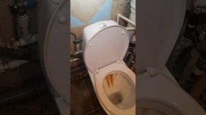 Рабочий день обычного сантехника .