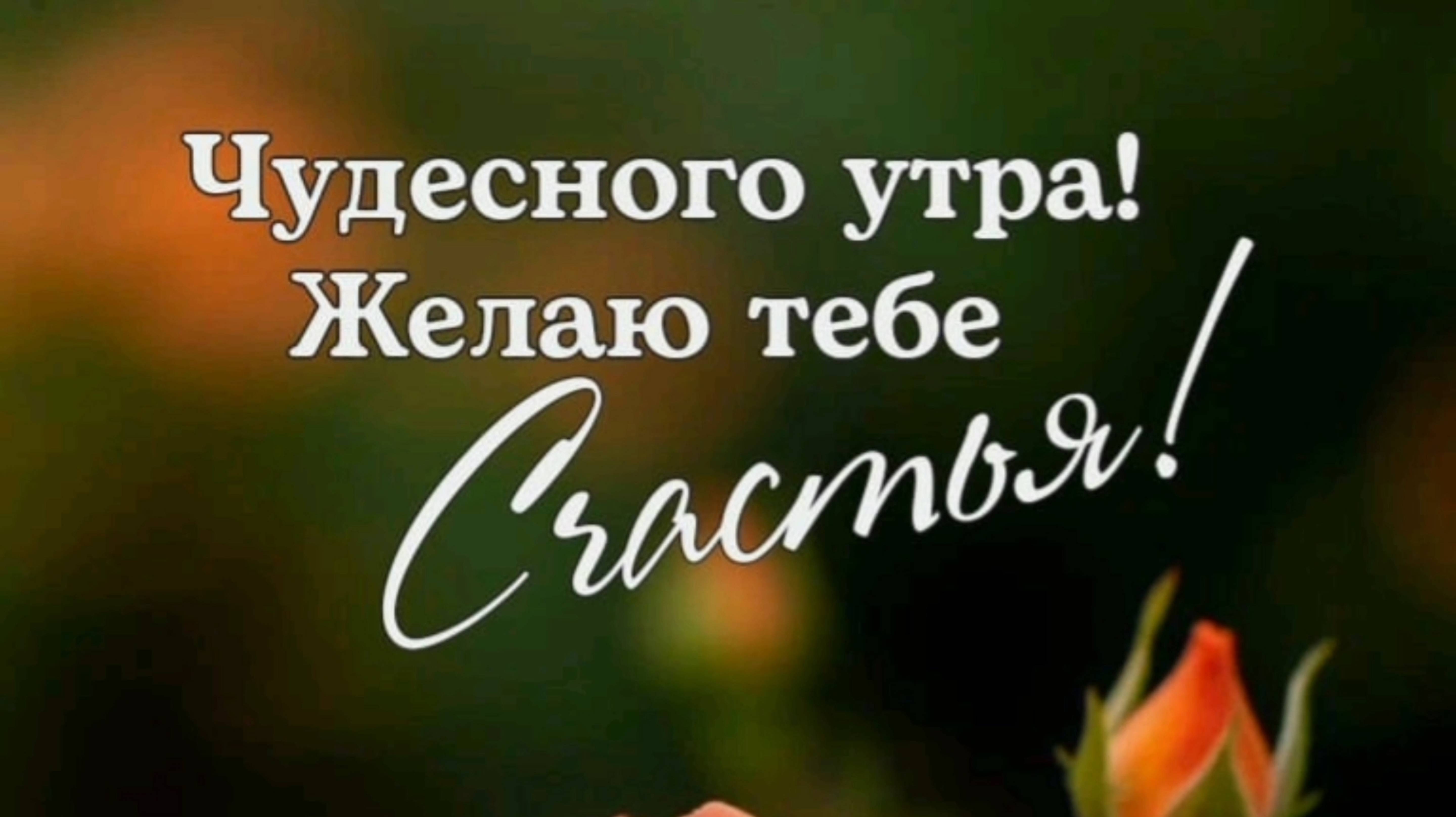 КРАСИВОЕ ПОЖЕЛАНИЕ ДОБРОГО УТРА