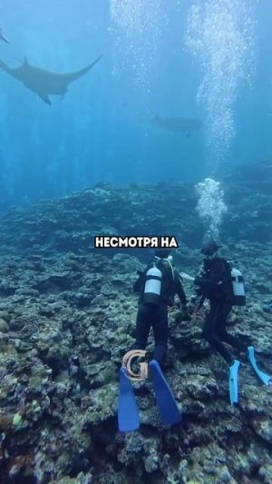 Японец уже больше 15 лет ищет свою жену, которая пропала после разрушительного цунами!