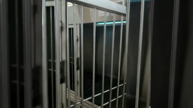 Модуль (стационар) wikiVET 5 клеток 2 яруса из нержавеющей стали НЕСТАНДАРТ