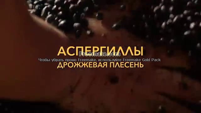 Соевый соус как делают