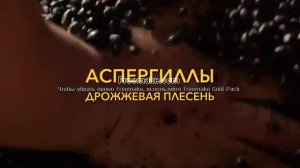 Соевый соус как делают