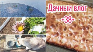 ДАЧНЫЕ РАБОТЫ // ОСТАВИЛИ ПУШИСТУЮ // ПОДГОТОВКА К ПОЕЗДКЕ // СТОЙКИ ДЛЯ БЕСЕДКИ