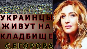 Дорогу осилит идущий…..