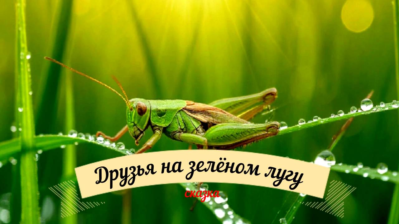 Сказки