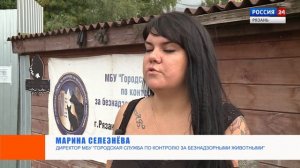 Актуальное интервью - Марина Селезнёва - Городская служба по контролю за безнадзорными