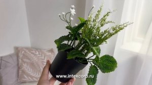 Искусственное растение в горшке ЗВЁЗДОЧКИ В ТРАВЕ, 24 см, 5010066