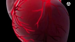 Здоровье. Новые отделения кардиологического диспансера