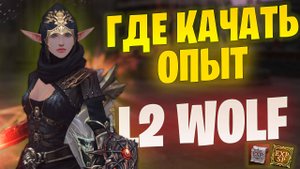 Застрял на уровне? Где качать опыт в Lineage 2 Project WOLF / Essence