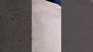 1000019571.mp4