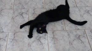 18 июля 2025 г.