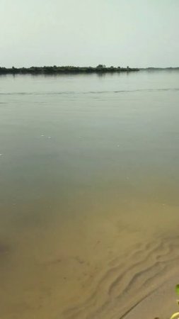 Taking bath in Ganga on Nidoya Ghat #mayapur #ganga #river #sea #shorts