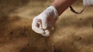 Захоронения раннего неолита обнаружили на побережье иркутского водохранилища