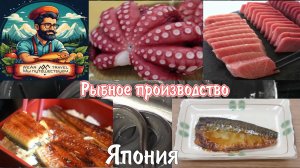 Топ 5. Невероятные навыки и удивительные процессы на японских рыбных заводах!