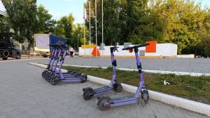 Правила дорожного движения для юных пешеходов. Встреча с полицейскими