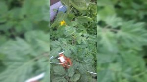 Поздравляем.
Видео-открытка с днём рождения!