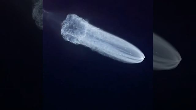 Китай запустил грузовой корабль «Тяньчжоу-9» к космической станции. смотреть онлайн