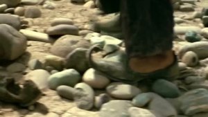 Вопль Ангела, одетого в одежды